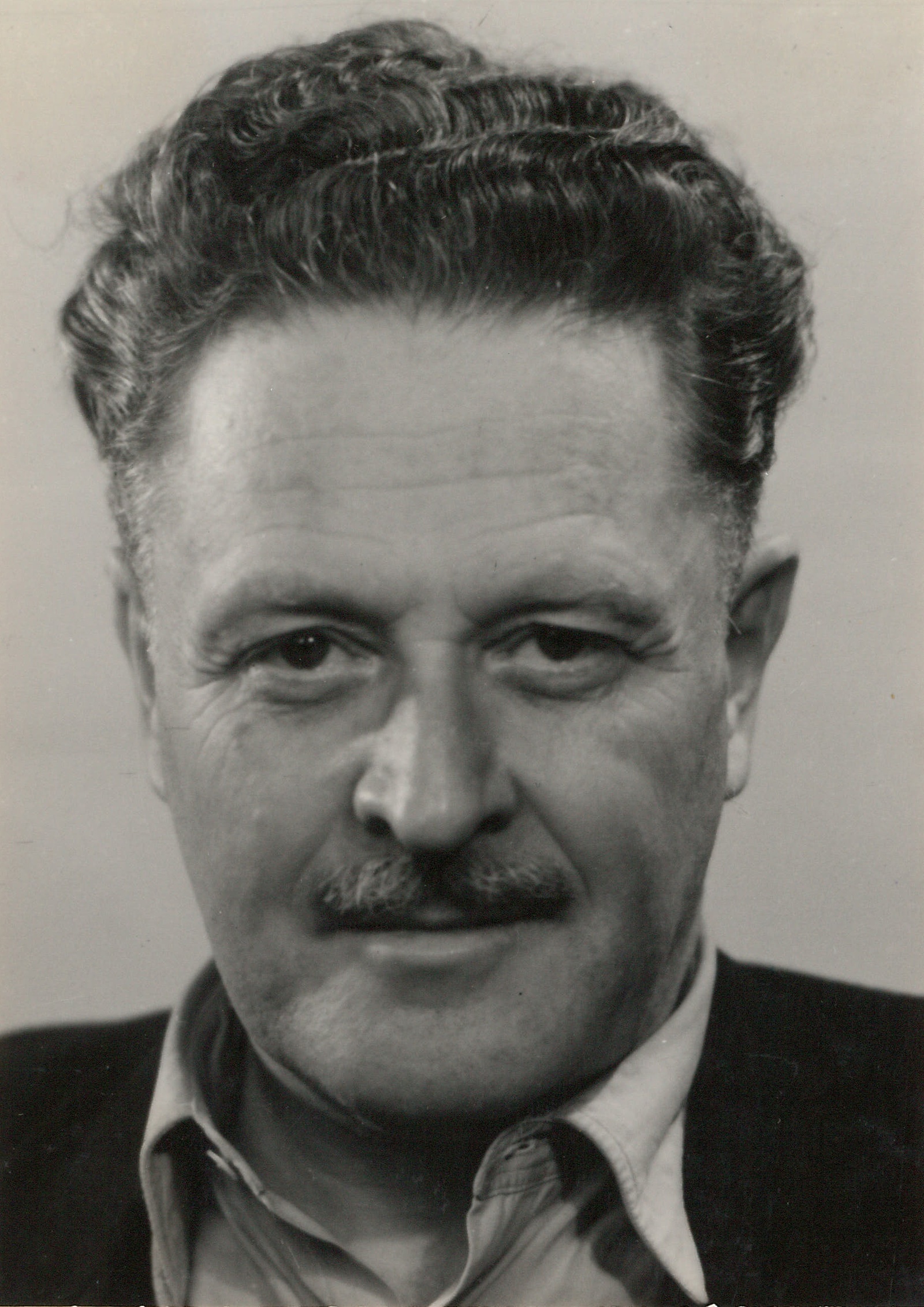Nazım Hikmet'in Resmi